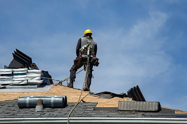 Professional Roof Inspection technician working in Zion Grove, PA